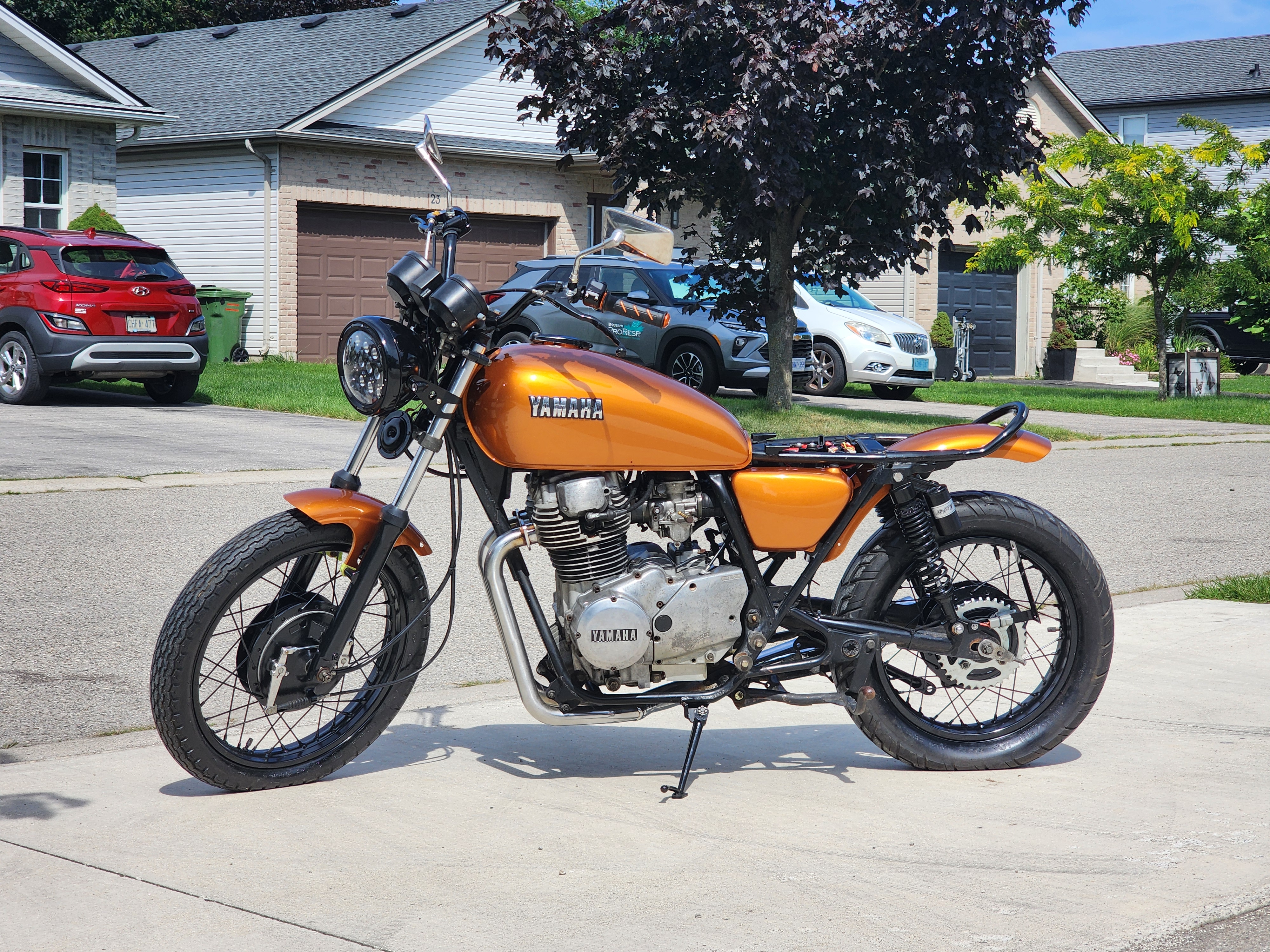 Painted Bike 1
